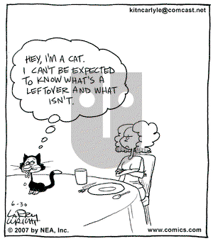 Kit 'N' Carlyle on Saturday June 30, 2007 Comic Strip