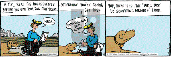 Overboard on Saturday August 19, 2017 Comic Strip