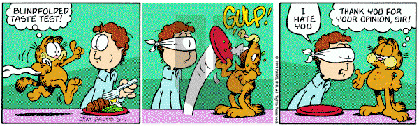 Garfield on Friday June 7, 1991 Comic Strip