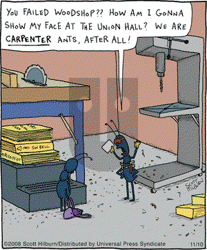 The Argyle Sweater on Saturday December 27, 2008 Comic Strip