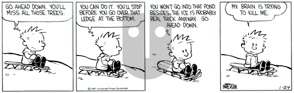 Calvin and Hobbes on Friday January 24, 1992 Comic Strip