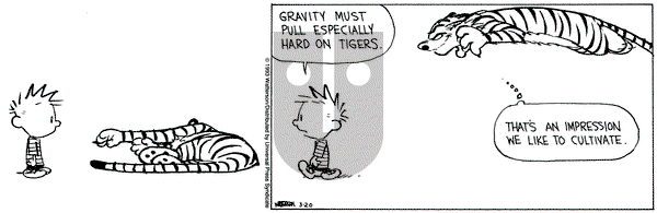 Calvin and Hobbes on Saturday March 20, 1993 Comic Strip