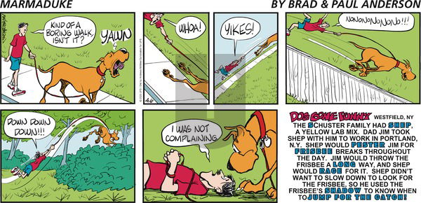 Marmaduke on Sunday April 6, 2025 Comic Strip