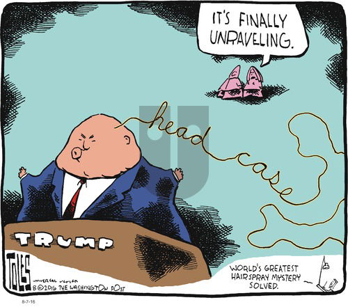 Tom Toles on Sunday August 7, 2016 Comic Strip