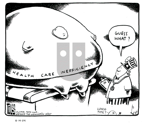 Tom Toles - Sunday June 14, 2009 Comic Strip
