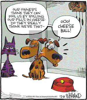 Reality Check on Saturday December 10, 2016 Comic Strip