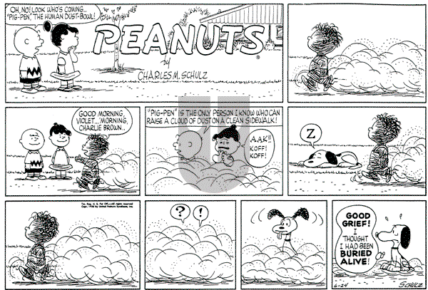 Peanuts - Sunday June 24, 1956 Comic Strip