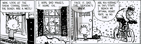 Calvin and Hobbes - Friday January 1, 1993 Comic Strip
