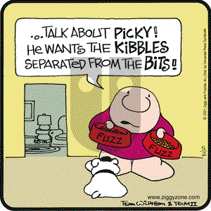 Ziggy on Wednesday May 2, 2001 Comic Strip