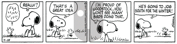 Peanuts on Wednesday September 28, 1977 Comic Strip