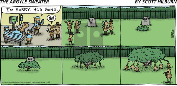 The Argyle Sweater on Sunday February 28, 2016 Comic Strip