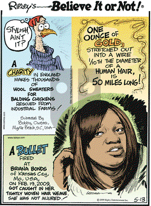Ripley's Believe It or Not on Wednesday May 13, 2009 Comic Strip