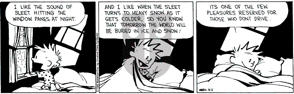 Calvin and Hobbes - Saturday December 2, 1995 Comic Strip