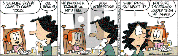 Baby Blues on Friday June 16, 2017 Comic Strip