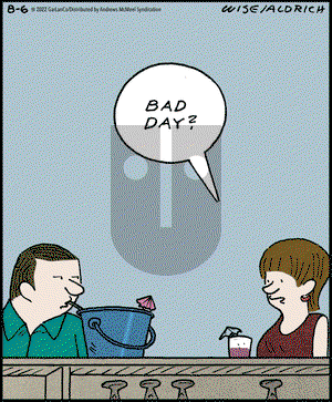 Real Life Adventures - Saturday August 6, 2022 Comic Strip