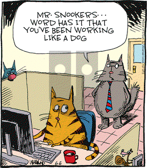 Reality Check on Friday June 6, 2014 Comic Strip