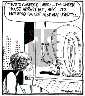 Reality Check on Friday November 29, 2002 Comic Strip