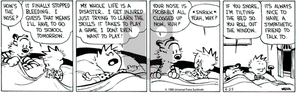 Calvin and Hobbes on Wednesday April 25, 1990 Comic Strip