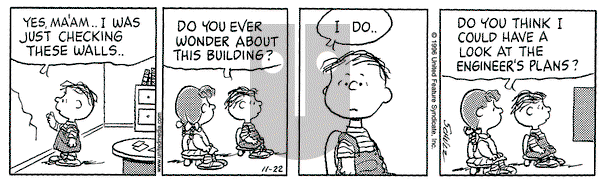 Peanuts on Friday November 22, 1996 Comic Strip