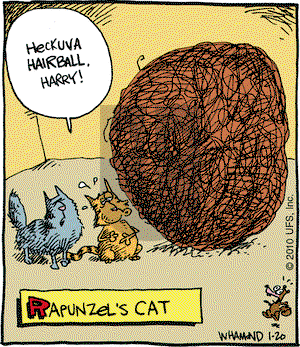 Reality Check on Wednesday January 20, 2010 Comic Strip