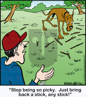 Marmaduke on Tuesday November 12, 2019 Comic Strip