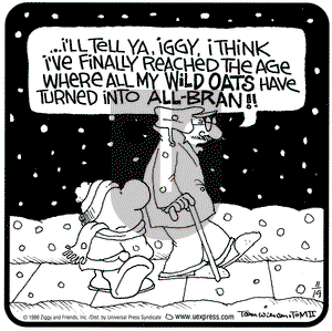 Ziggy - Friday November 19, 1999 Comic Strip
