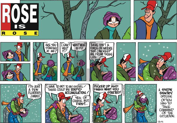 Rose is Rose on Sunday December 11, 2016 Comic Strip