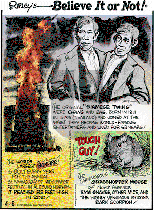 Ripley's Believe It or Not on Saturday April 6, 2013 Comic Strip