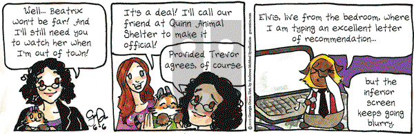 Breaking Cat News on Thursday June 6, 2019 Comic Strip