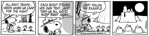 Peanuts on Tuesday February 7, 1978 Comic Strip