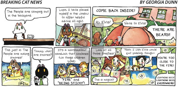 Breaking Cat News on Sunday August 30, 2020 Comic Strip