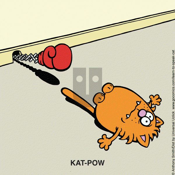 Learn to Speak Cat - Wednesday May 15, 2024 Comic Strip