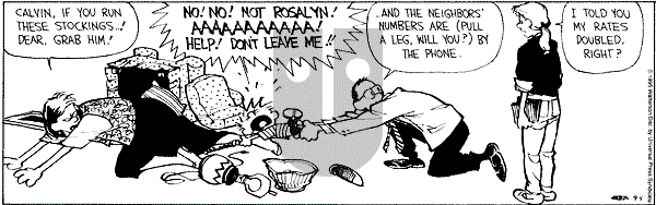 Calvin and Hobbes - Tuesday September 5, 1995 Comic Strip