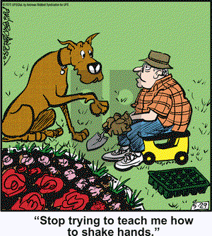 Marmaduke on Thursday May 29, 2025 Comic Strip