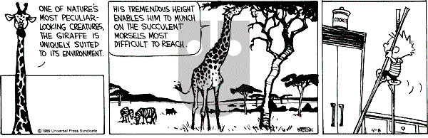 Calvin and Hobbes on Saturday April 8, 1989 Comic Strip