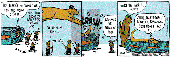 Overboard on Saturday April 10, 2010 Comic Strip