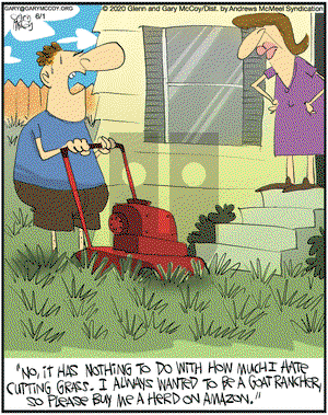 The Flying McCoys on Monday June 1, 2020 Comic Strip