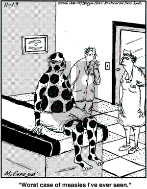 Close to Home on Monday November 13, 2006 Comic Strip