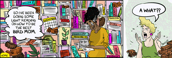 Globetrotter on Wednesday February 26, 2025 Comic Strip