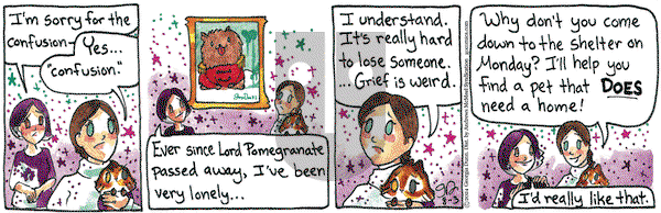 Breaking Cat News - Saturday August 3, 2024 Comic Strip