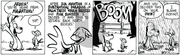 Buckles - Saturday March 25, 2023 Comic Strip