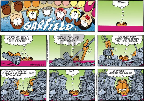 Garfield on Sunday June 12, 2011 Comic Strip