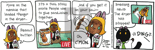 Breaking Cat News on Wednesday September 26, 2018 Comic Strip