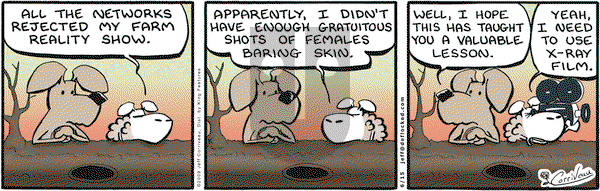 DeFlocked on Monday June 15, 2009 Comic Strip