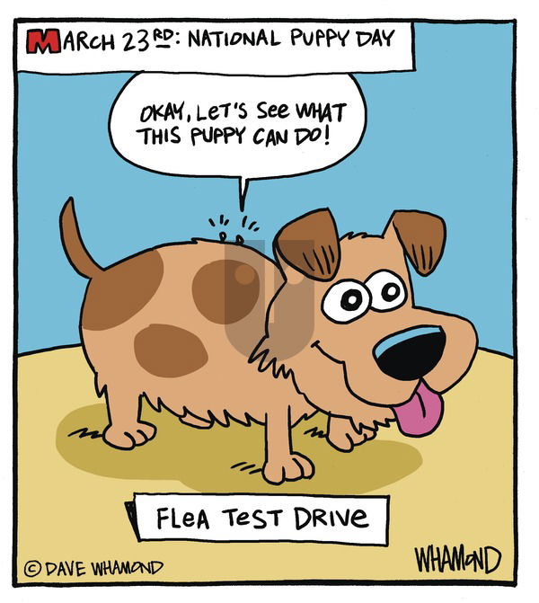 Day by Dave on Sunday March 23, 2025 Comic Strip