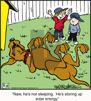 Marmaduke on Friday September 18, 2009 Comic Strip