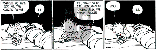 Calvin and Hobbes on Friday November 5, 1993 Comic Strip