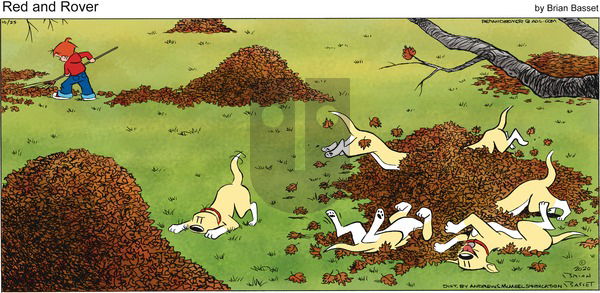 Red and Rover on Sunday October 25, 2020 Comic Strip