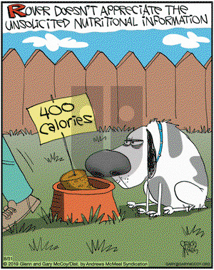 The Flying McCoys on Saturday August 31, 2019 Comic Strip