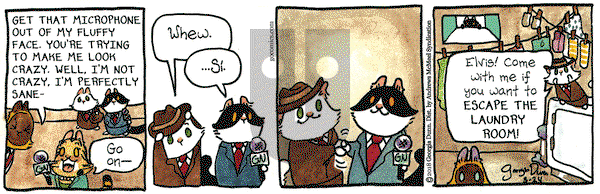 Breaking Cat News on Saturday March 24, 2018 Comic Strip